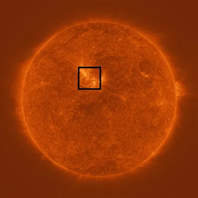 NASA Hi-C. Ученые опубликовали самые детальные фото Солнца: на нем есть  загадочные нити - новости Украины, Мир - LIGA.net