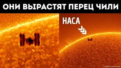 Уникальное фото МКС, пролетающей на фоне солнца - YouTube