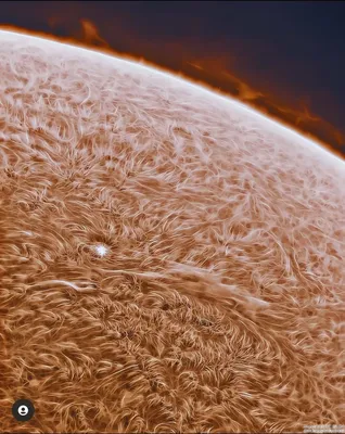 Самое четкое на сегодня изображение поверхности Солнца, опубликованное НАСА  : r/Pikabu