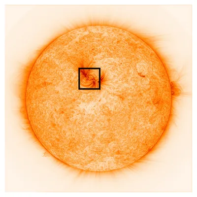 NASA Hi-C. Ученые опубликовали самые детальные фото Солнца: на нем есть  загадочные нити - новости Украины, Мир - LIGA.net