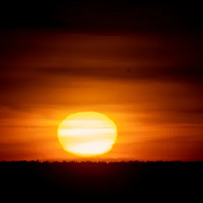 Солнце максимально сблизилось с Землей: Наука: Наука и техника: Lenta.ru