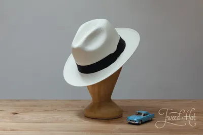 Белая соломенная шляпа федора с длинными полями K.Dorfzaun [22006ru]