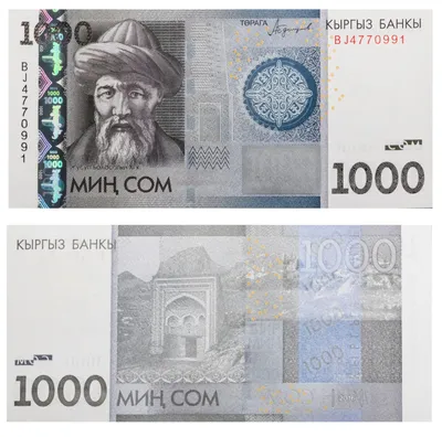 Банкнота кыргызстан 1000 сом 2016 (Pick 29b) стоимостью 2702 руб.