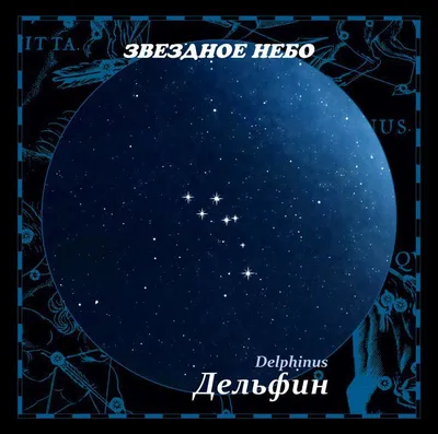 Созвездие Дельфин (Del, Delphinus)