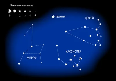 Схема Созвездия Кита На Звездном Небе — стоковая векторная графика и другие  изображения на тему Астрология - Астрология, Астрономия, Астрофизика -  iStock