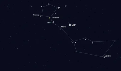 Кит — созвездие морского чудовища Посейдона | Космос гид | Дзен