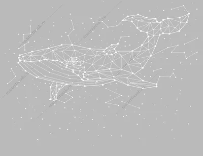 Фотообои Созвездие кит купить в Оренбурге, Арт. 14-301 в интернет-магазине,  цены в Мастерфресок