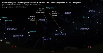 Про жирафа | Вера-Эском