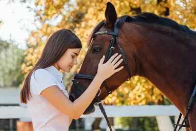 Спаривание лошадей. Зачатие и рождение жеребенка | EquiLife.ru - Первый  Конный журнал online