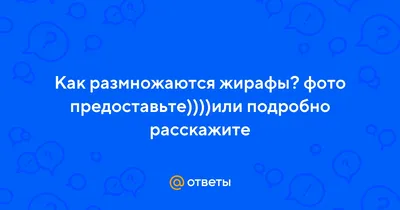 Спаривание Животных — стоковая векторная графика и другие изображения на  тему Силуэт - Силуэт, Крыса, Динозавр - iStock