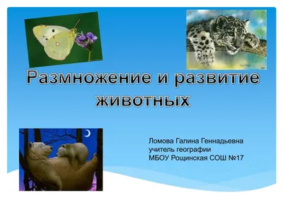 В Волгоградской области проверили, как размножаются птицы и животные,  занесенные в Красную книгу