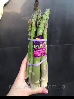 Купить Спаржа зеленая, green asparagus пучок 450г, цена 250 грн — Prom.ua  (ID#1566442057)