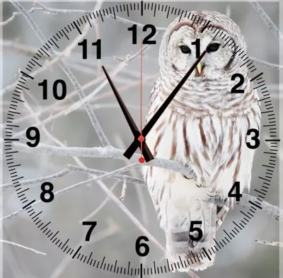 Купить часы на стену Стеклянные с фотопечатью Сова 30х30 см в СПб  интернет-магазин ПВХ Маркет ☎ +7(812)372-75-19
