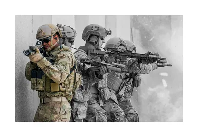 Какие виды спецназа есть в США- чем отличается SWAT от «Альфы» ? | Военное  Кредо | Дзен
