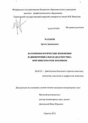 Конъюнктивит у кроликов - чем лечить в домашних условиях, лечение, если  гноятся глаза