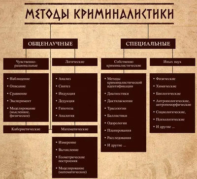 Как пожар в ночном клубе привел к отставке правительства