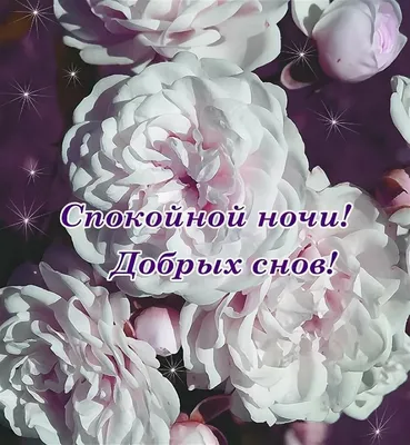 Картинки - Спокойной ночи — 🎁 Скачать бесплатно картинки с пожеланиями на  Pozdravim-vseh.ru