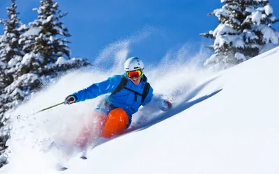 Горные лыжи для новичков: советы профессионала :: Лайфстайл :: РБК Спорт