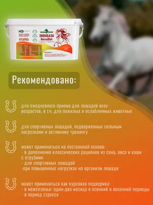 Reasil Humic Health Professional для спортивных лошадей