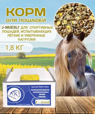 horses-russkiyalmaz.ru - продажа спортивных лошадей