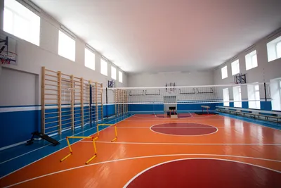 Современный спортивный зал в школе - 59 фото