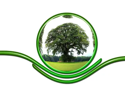 картинки : дерево, трава, растение, Окружающая среда, линия, Зеленый, круг,  Глобус, Мир, Экология, Земля, Глобализация, Планета, Сохранение, Защита,  Защищать, графика, Глобальный, обязанность, дизайн продукта, Трава семьи  4961x3508 - - 1334150 ...