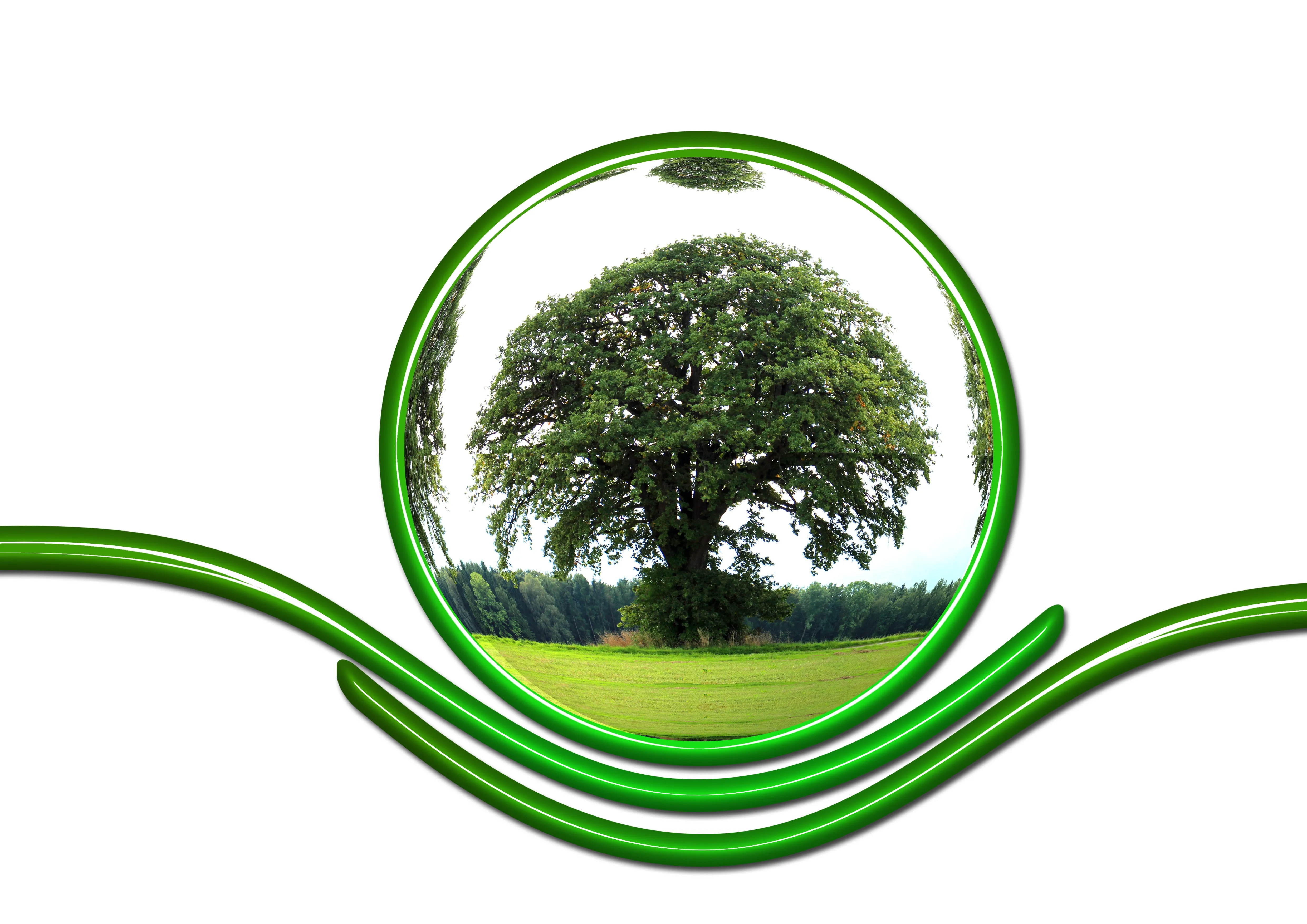 Окружающее свободно. Экология картинки. Экологичное дерево. Природа экология. Экологический фон.