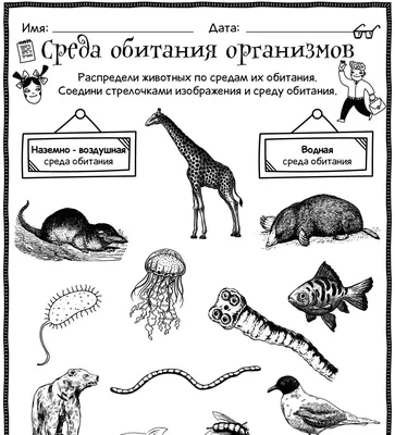Среда обитания организмов - Worksheets.ru - Биология