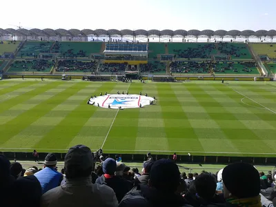 Anzhi Arena - Wikipedia