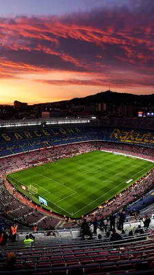 Турки, строившие «G-Drive Арену», будут реконструировать стадион испанской « Барселоны» | Спорт, Экономика/Бизнес | Омск-информ