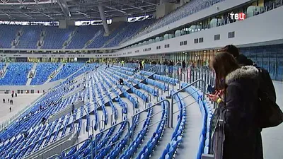 Зенит-Арена: бакланы, стоимость, строительство и проблемы стадиона