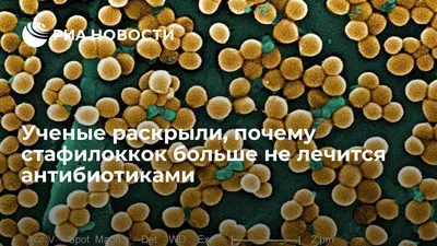 Ученые раскрыли, почему стафилоккок больше не лечится антибиотиками - РИА  Новости, 08.04.2020