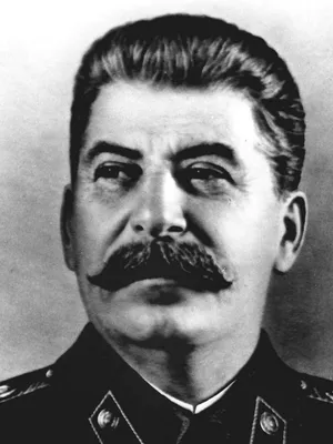 Сталин, Иосиф Виссарионович - ПЕРСОНА ТАСС