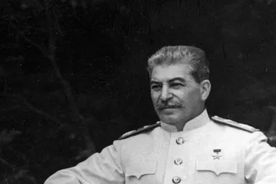 Хватит называть его кровавым тираном» - правнук Сталина обратился к  Путину-ФОТО