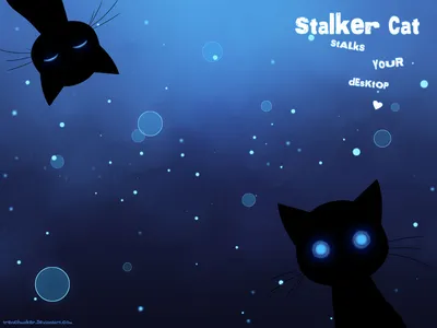 Обои на рабочий стол Кот-сталкер следит за вашим рабочим столом / Stalker  Cat stalks your desktop, by trenchmaker, обои для рабочего стола, скачать  обои, обои бесплатно