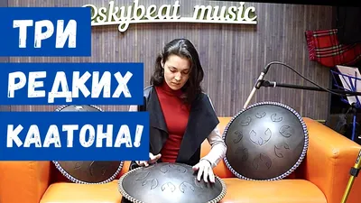 Язычковый барабан КааТон B Klezmara 10 нот купить в Москве: цены, доставка,  фото