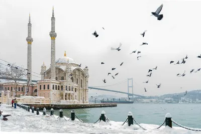 Зимний Стамбул - 61 фото