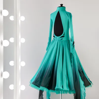 ST 008-01 Спортивное бальное платье для Стандарта (Standard dress) – цена  54 200 ₽ | Vasileva Dance