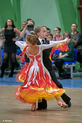 Стандартные платья для бальных танцев Waltz с длинным рукавом, эластичный  костюм из лайкры для танцев вальса, для взрослых, розовое платье для бальных  танцев и соревнований | AliExpress