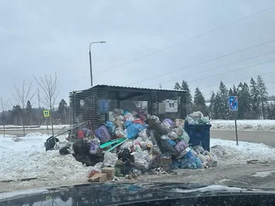 Змеи в Молдове: в Бельцах, во Флорештах и в Каушанах - откуда они?