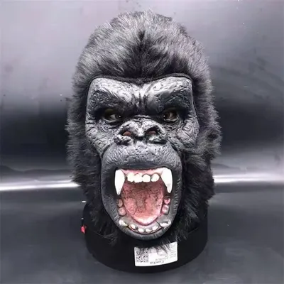 Старая обезьяна смотрит вправо Стоковое Фото - изображение насчитывающей  контраст, горилла: 169869008
