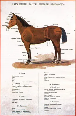 МБУДО ЦДТЭиТ им. Р.Р. Лейцингера,Ставропольский край, г. Пятигорск