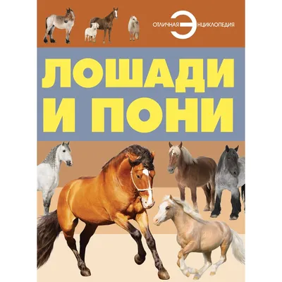 Краткий курс анатомии лошади. Часть 5: Дыхательная система | EquiLife.ru -  Первый Конный журнал online