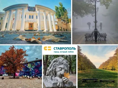 В Ставрополе подвели итоги фотоконкурса «Город, который люблю» :: 1777.Ru