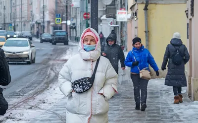 Спрос на благоустройство дач у россиян резко вырос за время пандемии — РБК