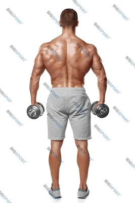 Топ-5 стероидов для набора мышечной массы: Эффективные результаты - Бізнес  новини Тернополя