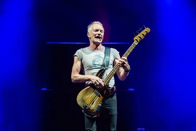 Sting and James Reyne Provide Lovely Symmetry at A Day on the Green