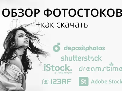Как скачать изображение бесплатно с Shutterstock, Depositephotos, Adobe,  iStock в 2023 году