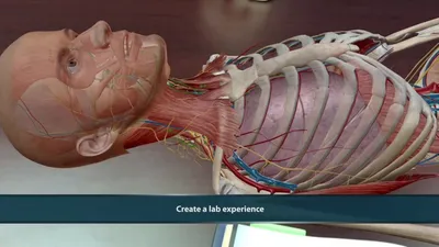Сборник 3D атласов по анатомии человека • Медицинский Клуб