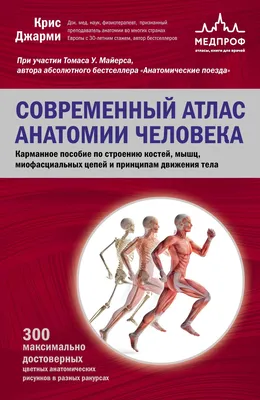 Курсы Косметологии Махачкала - Сохраняй чтоб не потерять!📌 Анатомия лица  для косметолога: как обойти опасные зоны? ⠀ Существует несколько важных  аспектов анатомии лица для косметологов, которые необходимо оценить врачу,  прежде чем приступать